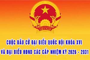 bau cu quoc hoi va hdnd