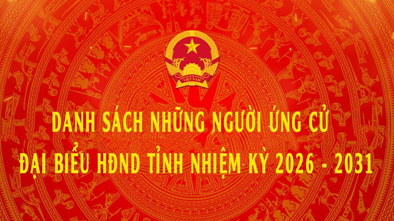 danh sachdai bieu hdnd