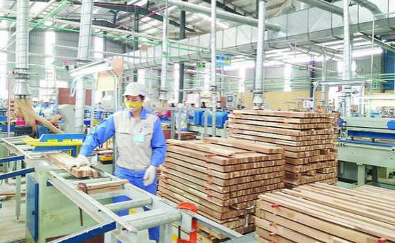 Chữa &ldquo;bệnh&rdquo; gian lận thương mại để ng&agrave;nh gỗ Việt sống khỏe