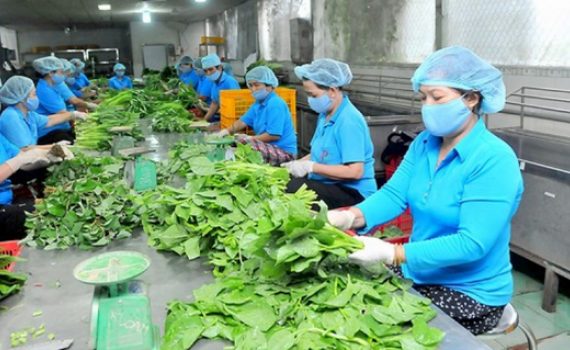 Ph&aacute;t huy vai tr&ograve; của Hợp t&aacute;c x&atilde; trong li&ecirc;n kết kinh doanh
