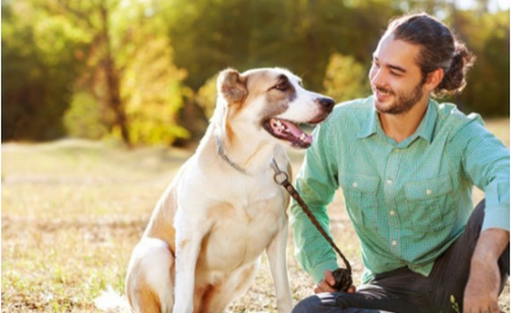 Ch&oacute;, m&egrave;o v&agrave; động vật c&oacute; v&uacute; c&oacute; l&agrave;m l&acirc;y nhiễm Covid-19 sang người kh&ocirc;ng?