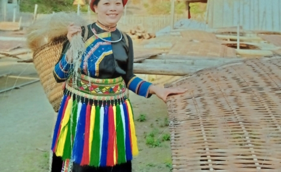 Từ thương hiệu miến dong Triệu Thị T&aacute;