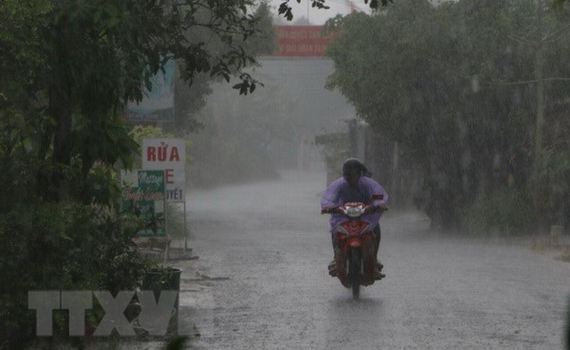 Khu vực từ H&agrave; Tĩnh đến Kh&aacute;nh H&ograve;a v&agrave; Bắc T&acirc;y Nguy&ecirc;n c&oacute; mưa to 