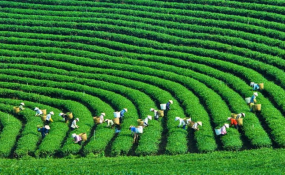 Tăng trưởng xanh &ndash; Ch&igrave;a kh&oacute;a của ph&aacute;t triển bền vững