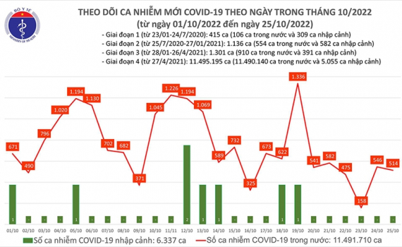 Việt Nam chưa thể c&ocirc;ng bố kết th&uacute;c đại dịch Covid-19