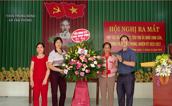 Văn Phong ra mắt HTX sản xuất, ti&ecirc;u thụ ốc nhồi sinh sản