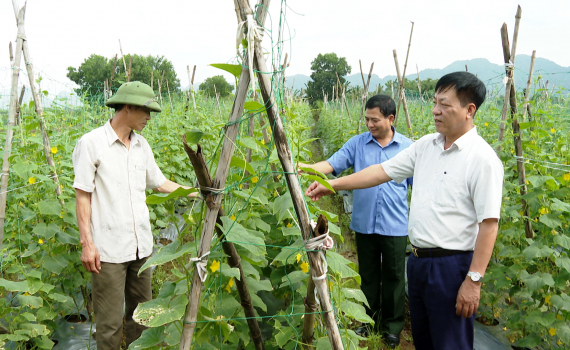 Hội CCB th&agrave;nh phố Tam Điệp hỗ trợ hội vi&ecirc;n ph&aacute;t triển kinh tế