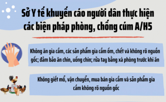 C&aacute;c địa phương chủ động ph&ograve;ng chống c&uacute;m gia cầm l&acirc;y nhiễm sang người