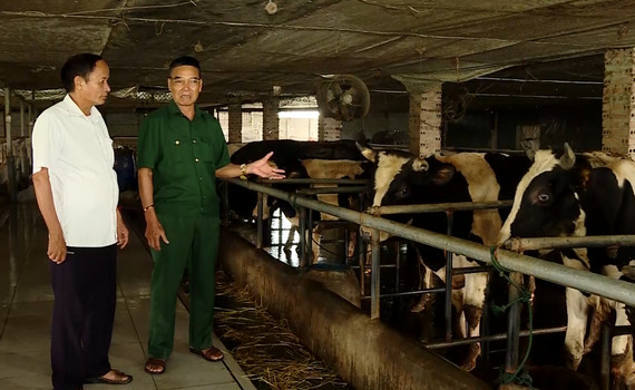 Ph&aacute;t huy vai tr&ograve; của Cựu chiến binh trong ph&aacute;t triển kinh tế