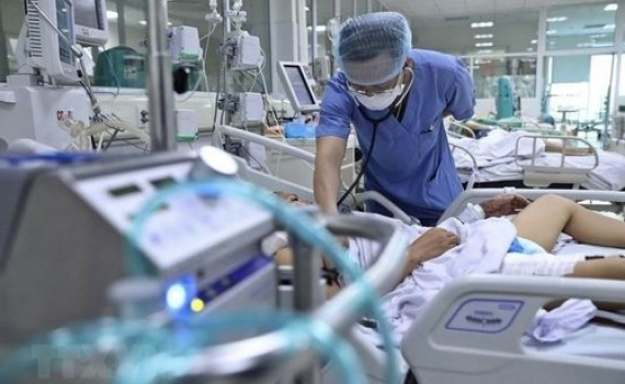Bộ Y tế y&ecirc;u cầu tăng cường c&ocirc;ng t&aacute;c ph&ograve;ng, chống c&uacute;m gia cầm tr&ecirc;n địa b&agrave;n tỉnh Ph&uacute; Thọ