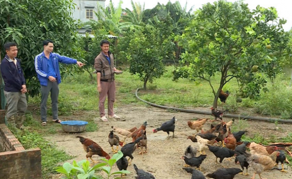 Hiệu quả Nghị quyết hỗ trợ thanh ni&ecirc;n ph&aacute;t triển kinh tế