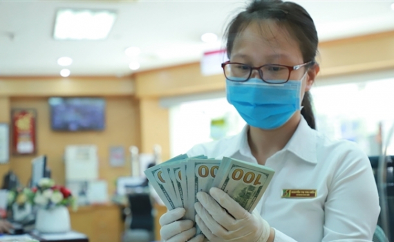Ng&acirc;n h&agrave;ng Nh&agrave; nước điều chỉnh bi&ecirc;n độ tỷ gi&aacute; USD/VND l&ecirc;n 5%