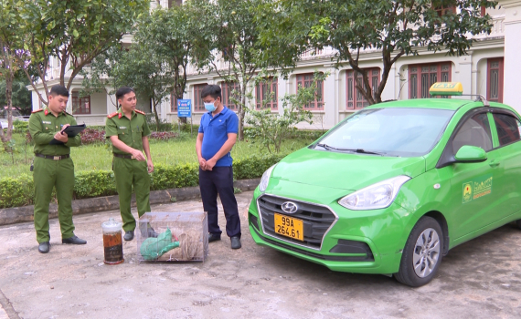 Bắt giữ đối tượng vận chuyển 3 c&aacute; thể rắn thuộc danh mục lo&agrave;i nguy cấp qu&yacute; hiếm
