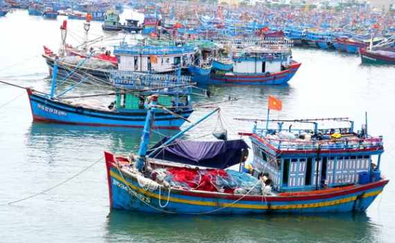 Theo d&otilde;i chặt chẽ diễn biến của &aacute;p thấp nhiệt đới