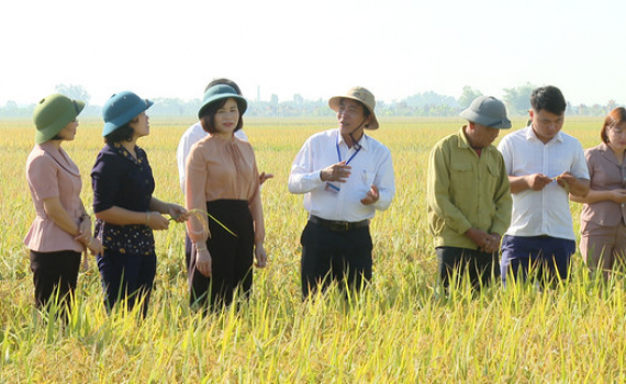 Ban D&acirc;n vận Tỉnh ủy thăm, tặng qu&agrave; động vi&ecirc;n một số m&ocirc; h&igrave;nh, điển h&igrave;nh d&acirc;n vận kh&eacute;o 