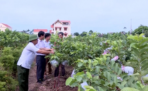 C&aacute;c cấp Hội N&ocirc;ng d&acirc;n tỉnh Ninh B&igrave;nh thực hiện chủ đề c&ocirc;ng t&aacute;c năm