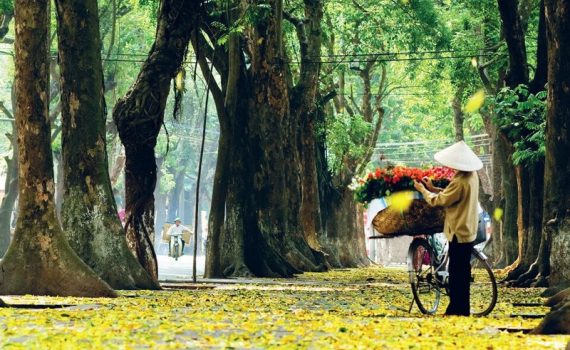 Thời tiết h&ocirc;m nay (27-10): Miền Bắc, miền Trung ng&agrave;y nắng đẹp