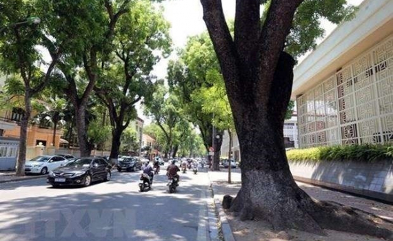 Thời tiết h&ocirc;m nay (25-10): Bắc Bộ ng&agrave;y nắng, Trung Bộ mưa lớn giảm dần