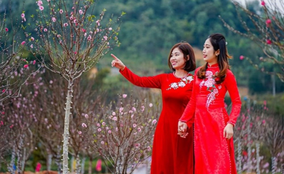Tr&igrave;nh phương &aacute;n nghỉ Tết Nguy&ecirc;n đ&aacute;n 2024