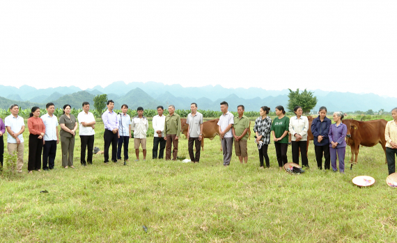 Hội N&ocirc;ng d&acirc;n tỉnh tạo điều kiện để người d&acirc;n ph&aacute;t triển kinh tế, bảo vệ m&ocirc;i trường