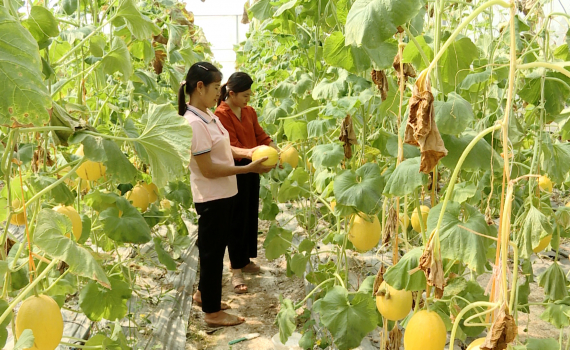 Y&ecirc;n M&ocirc; hỗ trợ phụ nữ ph&aacute;t triển kinh tế