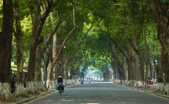 Thời tiết h&ocirc;m nay (5-10): Miền Bắc tăng nhiệt