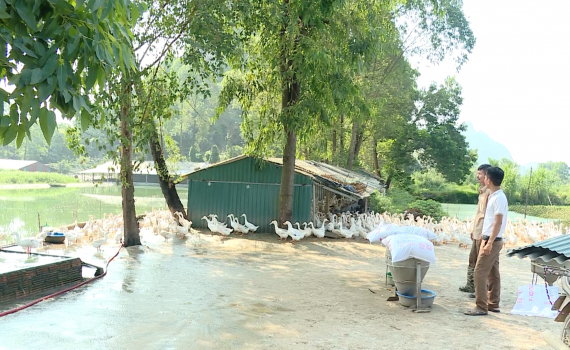 Gia Viễn: Tạo động lực cho n&ocirc;ng d&acirc;n l&agrave;m gi&agrave;u