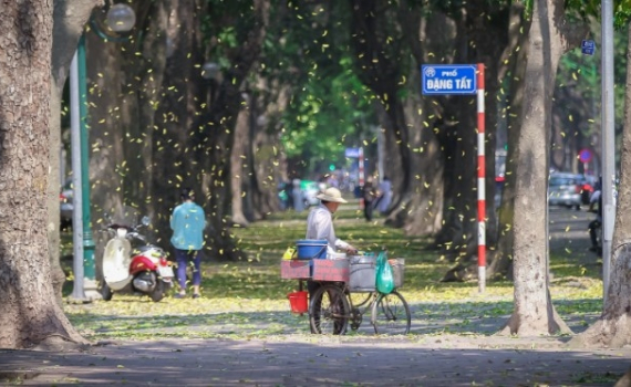 Thời tiết h&ocirc;m nay (7-10): Miền Bắc ng&agrave;y nắng, s&aacute;ng sớm trời lạnh, v&ugrave;ng n&uacute;i trời r&eacute;t