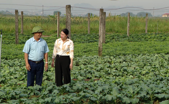 Y&ecirc;n M&ocirc; đẩy nhanh tiến độ sản xuất vụ Đ&ocirc;ng