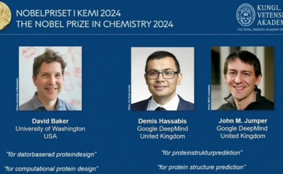 Nobel H&oacute;a học 2024: D&ugrave;ng AI 'giải m&atilde;' về protein