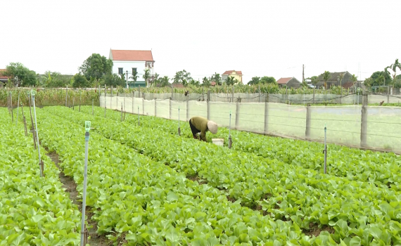 Ninh B&igrave;nh: Hỗ trợ n&ocirc;ng d&acirc;n ph&aacute;t triển kinh tế, l&agrave;m gi&agrave;u ch&iacute;nh đ&aacute;ng