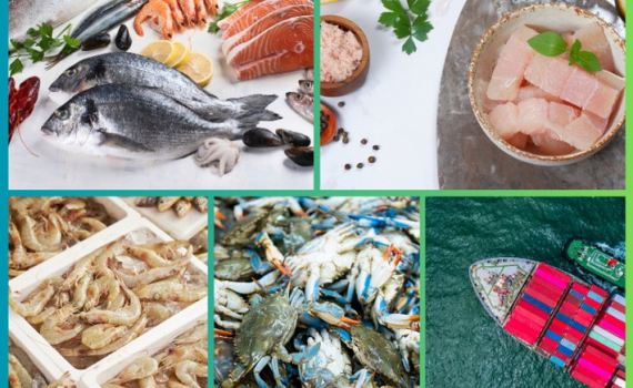 Xuất khẩu thủy sản đ&atilde; quay lại quỹ đạo th&ocirc;ng thường