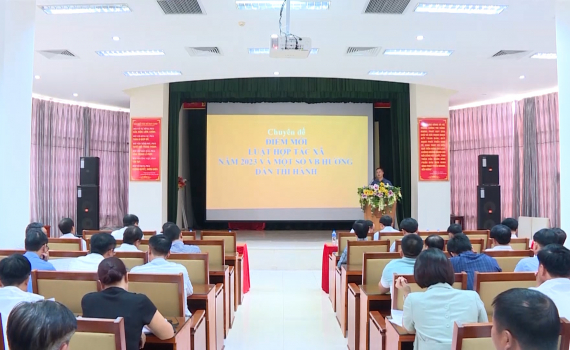Li&ecirc;n minh HTX tỉnh phổ biến kiến thức về kinh tế tập thể