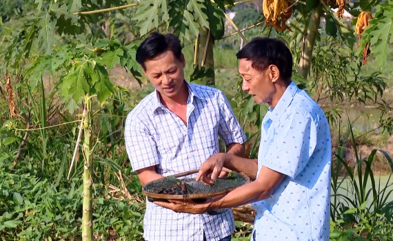 Hội N&ocirc;ng d&acirc;n Y&ecirc;n Đồng hỗ trợ hội vi&ecirc;n ph&aacute;t triển kinh tế