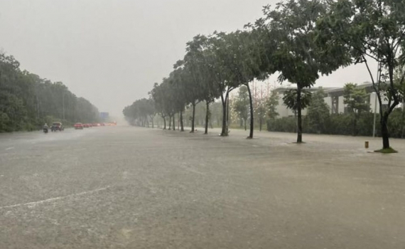Thời tiết h&ocirc;m nay (6-10): B&atilde;o số 11 g&acirc;y mưa lớn ở Bắc Bộ