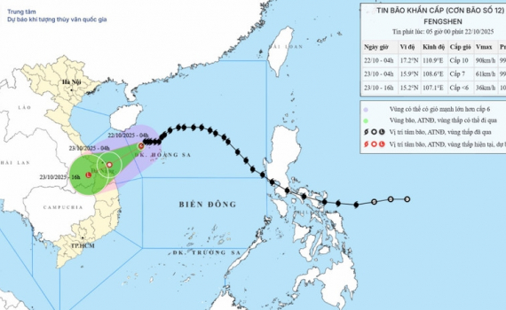 B&atilde;o số 12 c&aacute;ch th&agrave;nh phố Đ&agrave; Nẵng khoảng 310km
