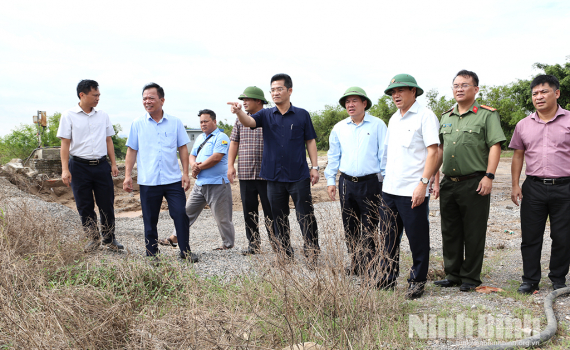 Đồng ch&iacute; Ph&oacute; Chủ tịch UBND tỉnh Trần Anh Dũng kiểm tra xử l&yacute; vi phạm ph&aacute;p luật về đ&ecirc; điều tại một số địa phương