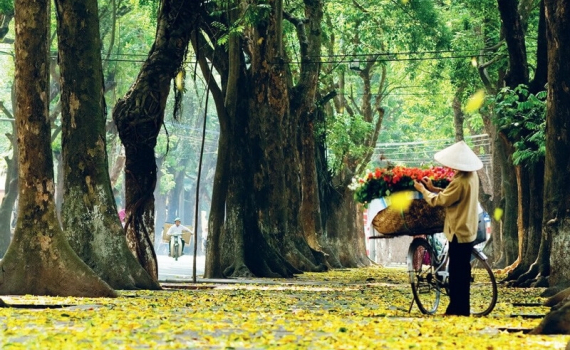 Thời tiết h&ocirc;m nay (13-10): Bắc Bộ ng&agrave;y nắng, miền Trung v&agrave; Nam Bộ c&oacute; mưa d&ocirc;ng