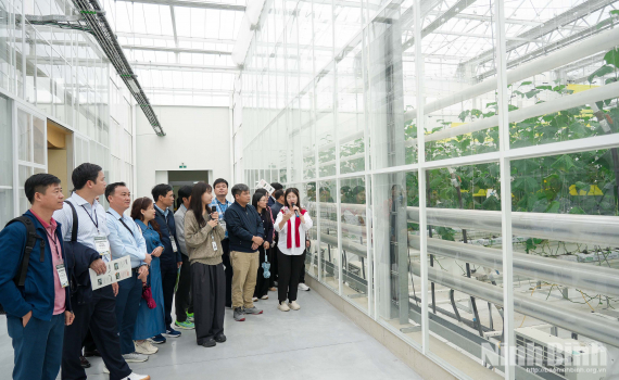 Từ trang trại th&ocirc;ng minh đến chuỗi sản xuất n&ocirc;ng nghiệp tại H&agrave;n Quốc