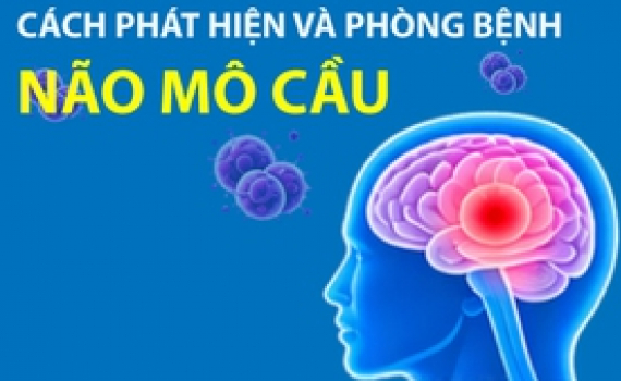 Infographics: C&aacute;ch ph&aacute;t hiện v&agrave; ph&ograve;ng bệnh n&atilde;o m&ocirc; cầu