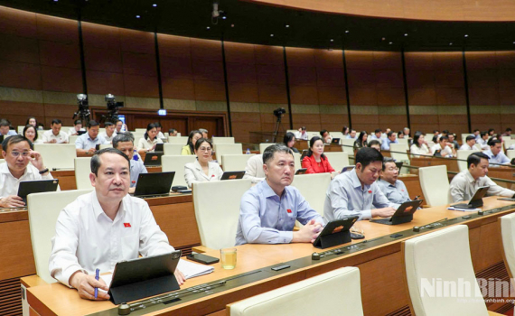 Bảo đảm tự nguyện, c&ocirc;ng bằng trong hiến, gh&eacute;p m&ocirc;, tạng