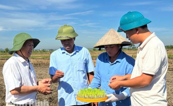 Vụ đ&ocirc;ng 2026: Từ chỉ ti&ecirc;u kế hoạch đến hiệu quả kinh tế bền vững