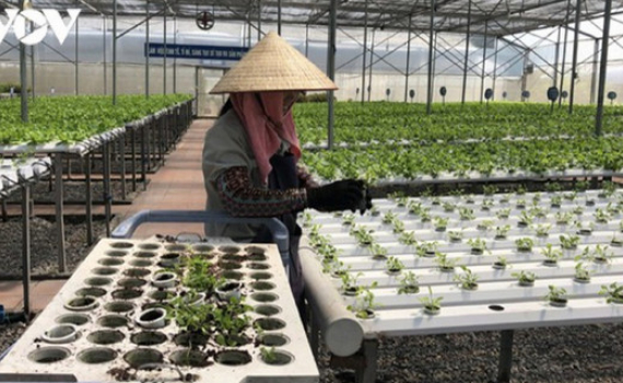 Đến 2025, th&agrave;nh lập mới 10.000 tổ chức kinh tế tập thể