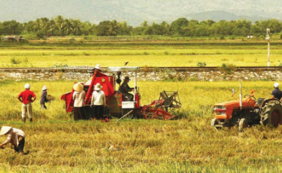 G&oacute;p &yacute; văn kiện: N&ocirc;ng d&acirc;n phải hiểu "ph&aacute;t triển bền vững" l&agrave; g&igrave;