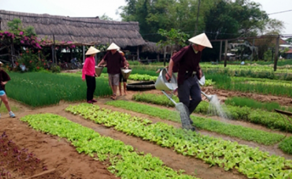 ​Kinh doanh du lịch n&ocirc;ng nghiệp c&ograve;n mang nhiều t&iacute;nh tự ph&aacute;t