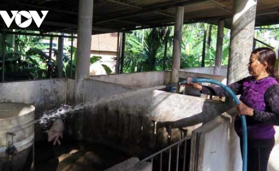 Người cao tuổi muốn l&agrave;m kinh tế nhưng gặp nhiều kh&oacute; khăn