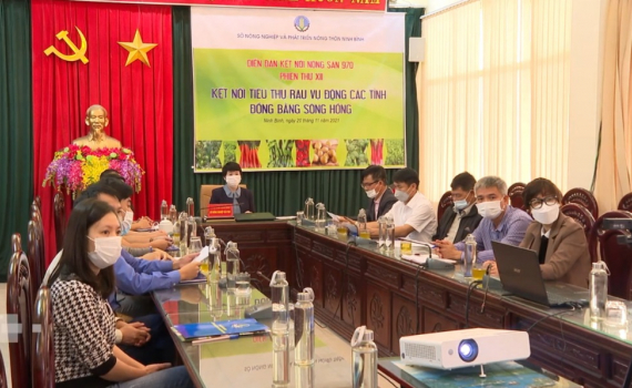 Hội nghị trực tuyến kết nối ti&ecirc;u thụ rau vụ Đ&ocirc;ng c&aacute;c tỉnh Đồng bằng s&ocirc;ng Hồng