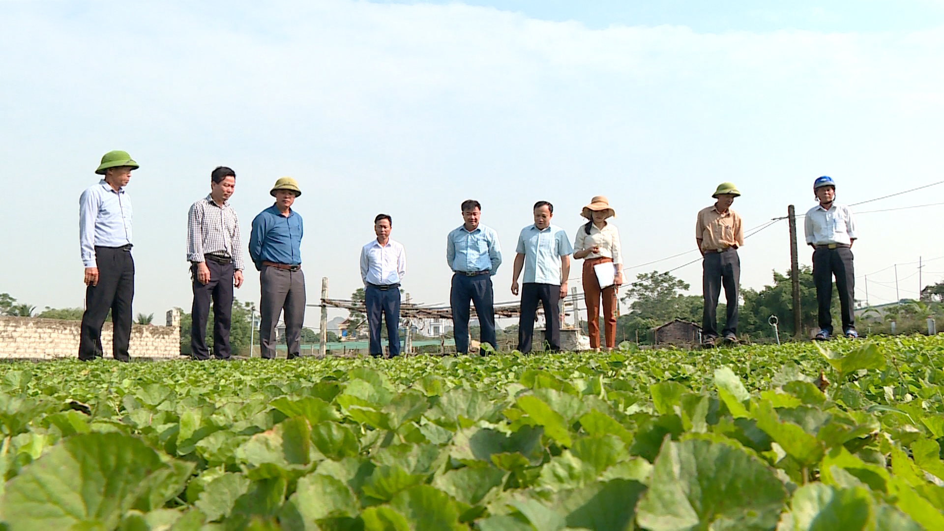 Văn Quan Lạng Sơn Phát triển các mô hình sản xuất theo liên kết chuỗi  giá trị  Báo Dân tộc và Phát triển