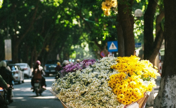 Thời tiết ng&agrave;y 13-11: Miền Bắc ng&agrave;y nắng, đ&ecirc;m lạnh, cảnh b&aacute;o mưa d&ocirc;ng từ Thanh H&oacute;a đến Kh&aacute;nh H&ograve;a