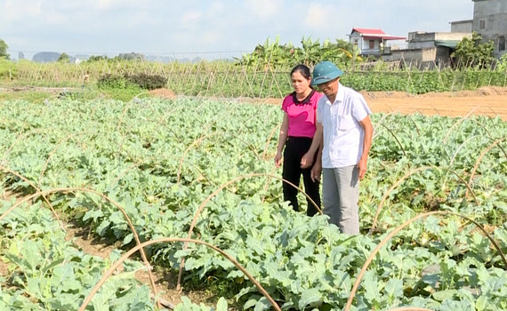 Y&ecirc;n M&ocirc; n&acirc;ng cao gi&aacute; trị sản xuất vụ Đ&ocirc;ng